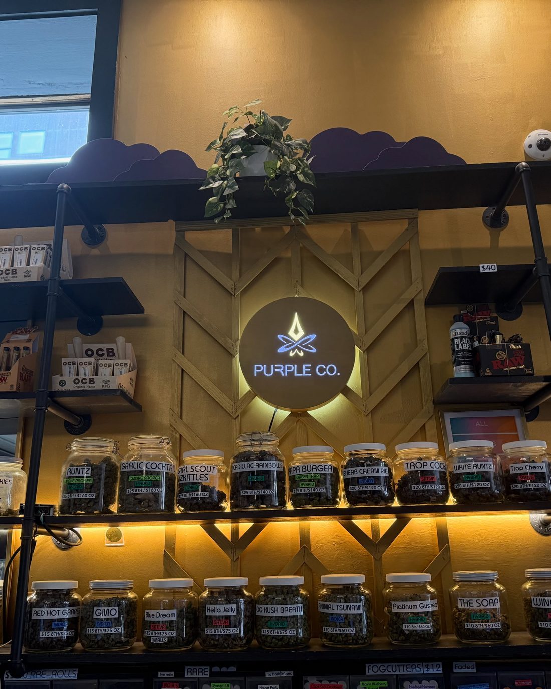Inside Purple Co. on Congress Street — a warm, gallery-style space with the glowing Purple Co. emblem above shelves of curated jars