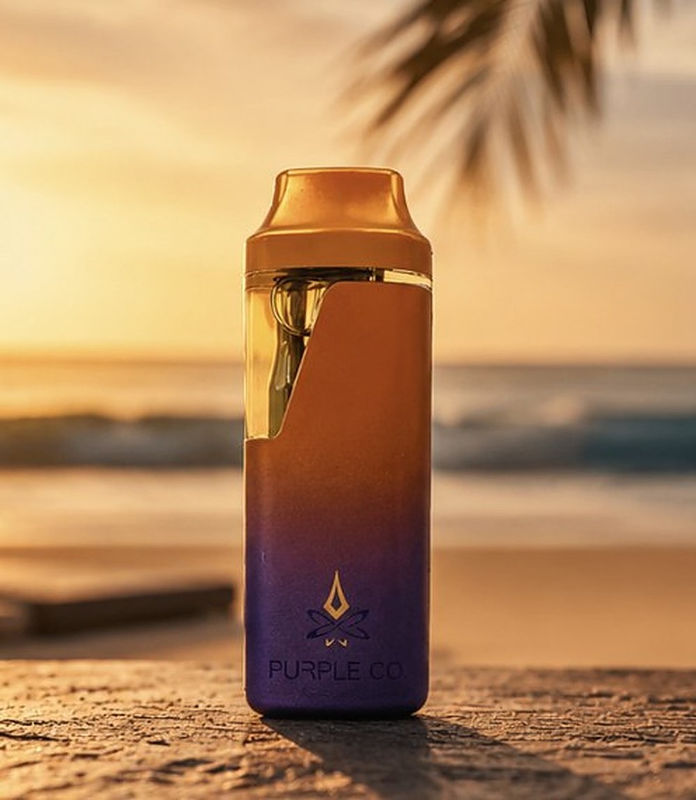 Purple Co. Persi disposable vape on a Maine beach at golden hour