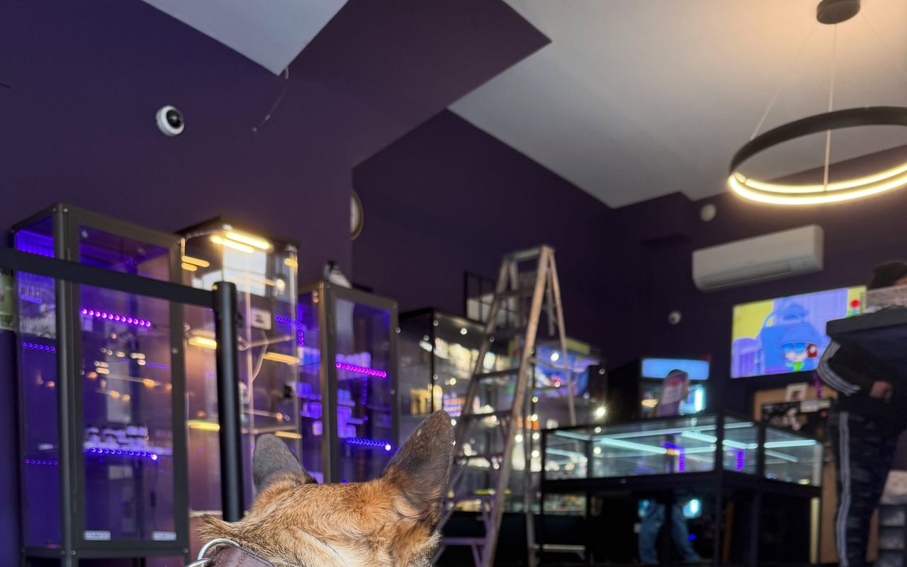 Inside Purple Co. — Congress Street, Portland: violet-lit glass display cases